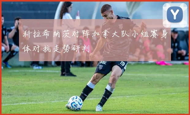 科拉希纳茨对阵加拿大队小组赛身体对抗走势研判