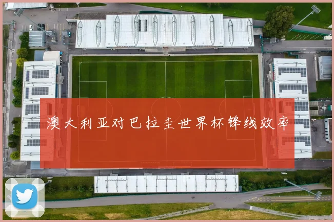 澳大利亚对巴拉圭世界杯锋线效率