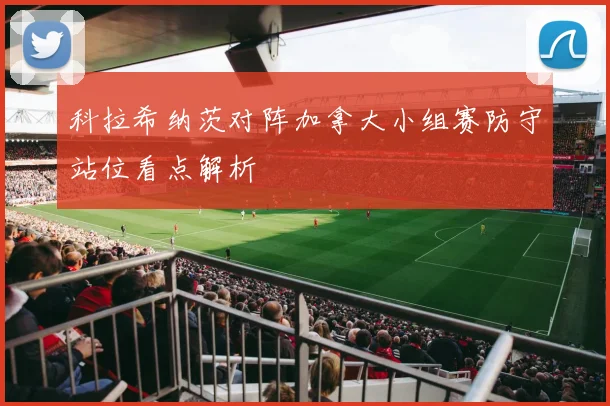 科拉希纳茨对阵加拿大小组赛防守站位看点解析