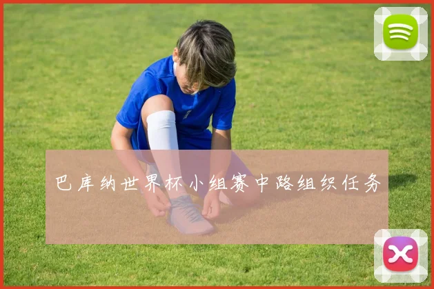 巴库纳世界杯小组赛中路组织任务