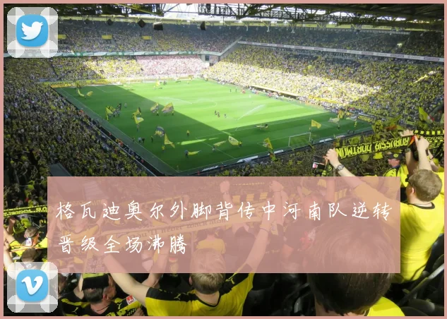 格瓦迪奥尔外脚背传中河南队逆转晋级全场沸腾