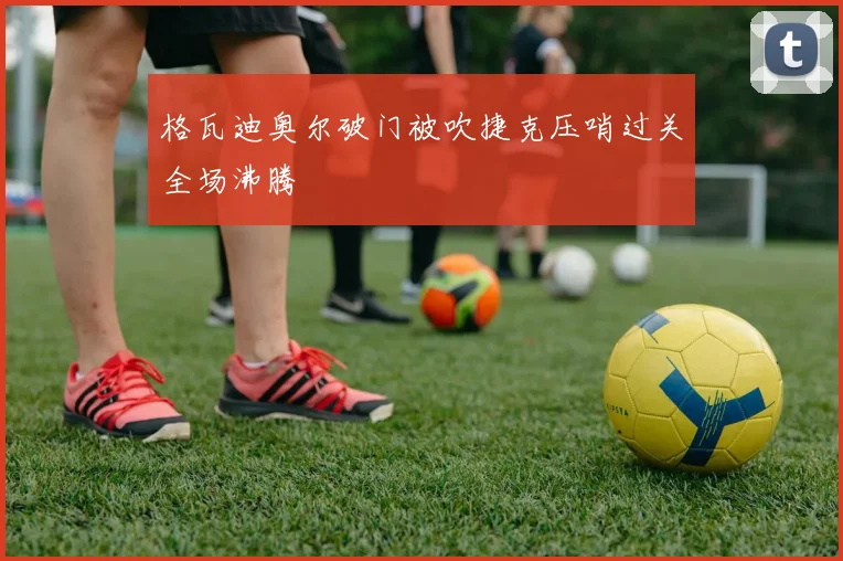 格瓦迪奥尔破门被吹捷克压哨过关全场沸腾