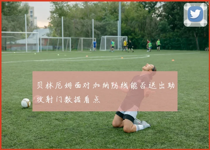 贝林厄姆面对加纳防线能否送出助攻射门数据看点