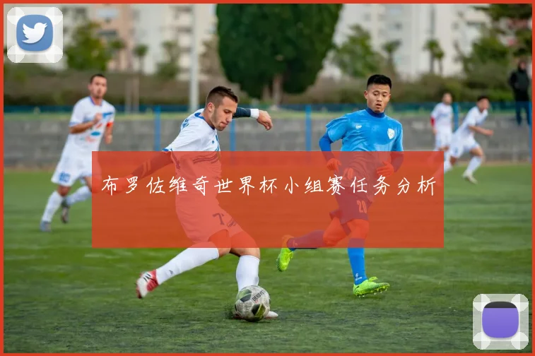 布罗佐维奇世界杯小组赛任务分析