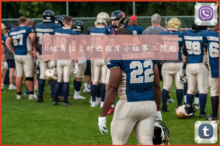 H组乌拉圭对西班牙小组第二预测