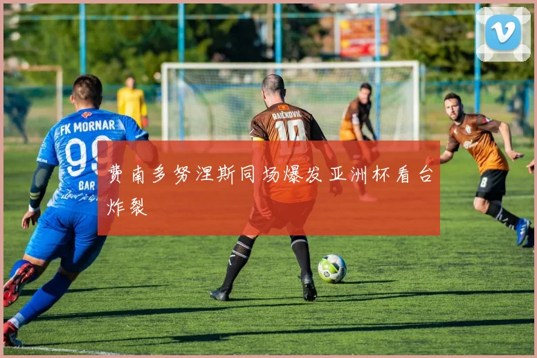 费南多努涅斯同场爆发亚洲杯看台炸裂