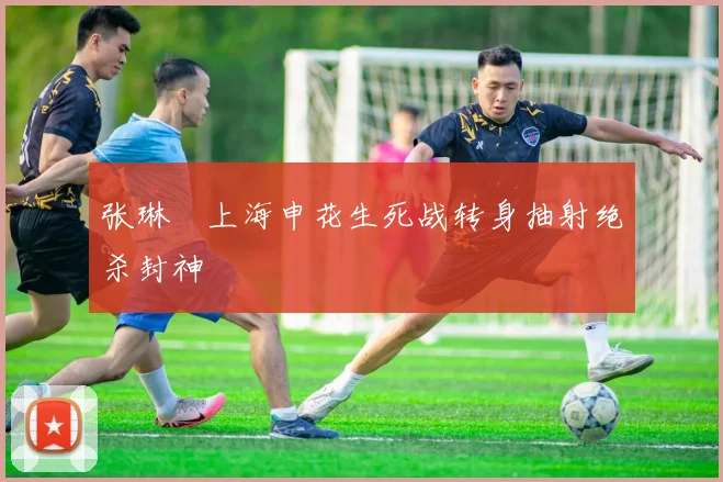 张琳芃上海申花生死战转身抽射绝杀封神
