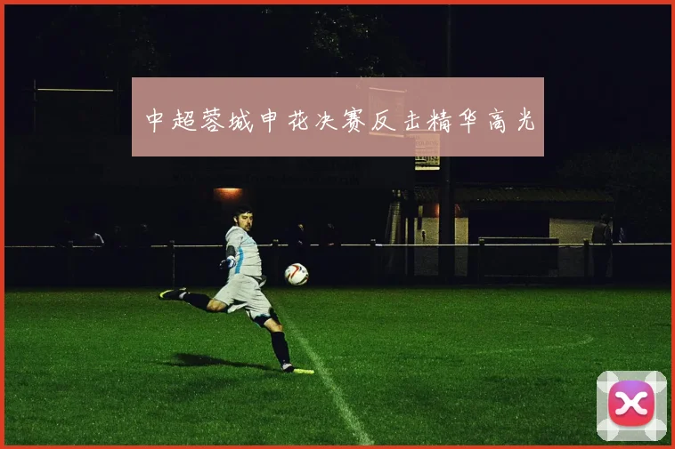 中超蓉城申花决赛反击精华高光