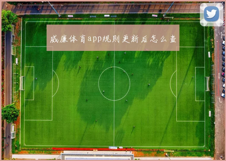 威廉体育app规则更新后怎么查
