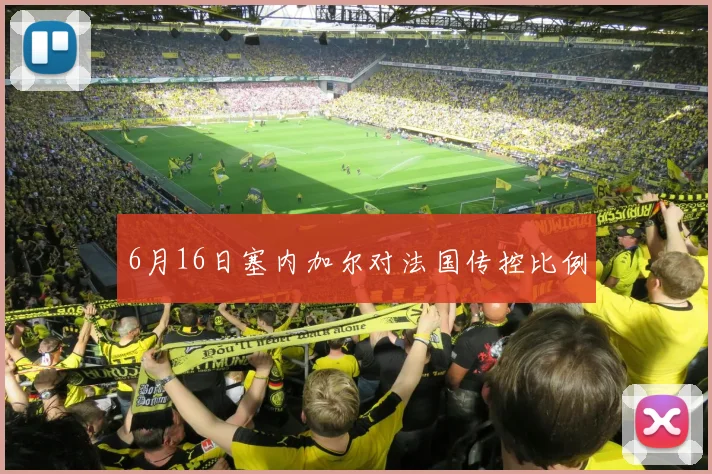 6月16日塞内加尔对法国传控比例
